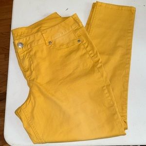 Maurices Yellow Pant